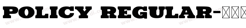 Policy Regular字体转换